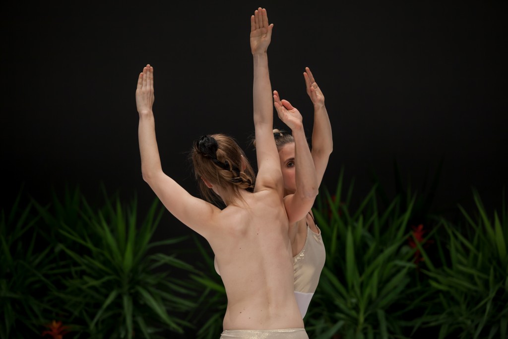 mala-20151213_MARINAC_1235
