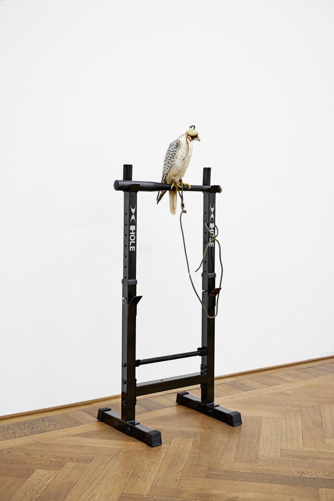 anne_imhof_kunsthalle_basel05-copy